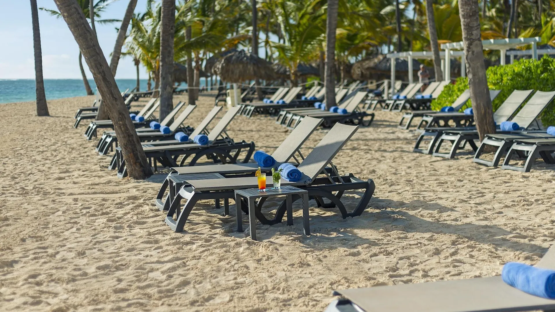 Catalonia Punta Cana Dominican Republic